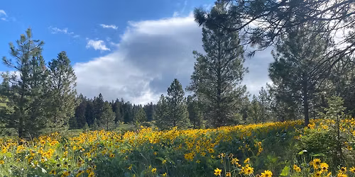 Blooms & Brew: The Ecology & Management of Invasive Weeds