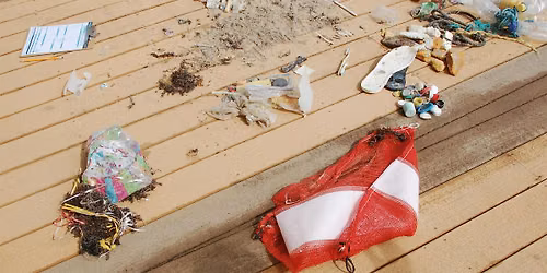 Sea Turtle 101 & Beach Cleanup