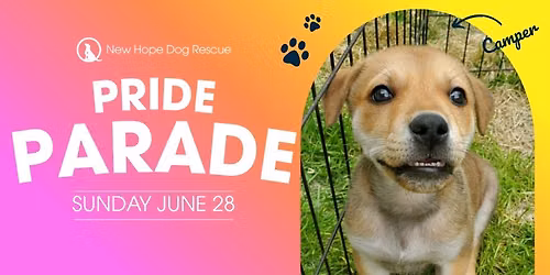 NHDR @ Pride Parade — Downtown Saskatoon