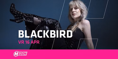 BLACKBIRD | HEDON ZWOLLE