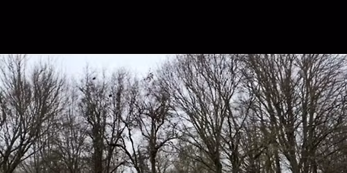 Annual New Year\u2019s Day paddle