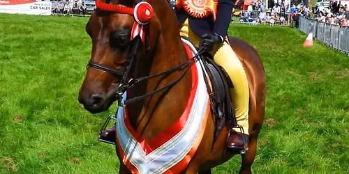 The 130th Skelton Show