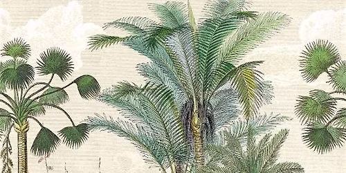 From Architecture to Architextures