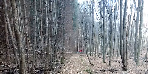 Gyalogt\u00fara a M\u00e1tr\u00e1ban! (Galyatet\u0151)