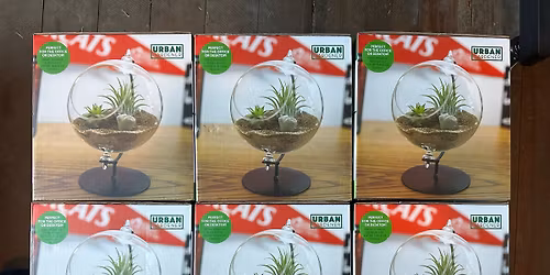 Desktop Terrarium Workshop