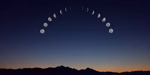 Planting Seeds in the Darkness - Lunar Rest & Renewal 