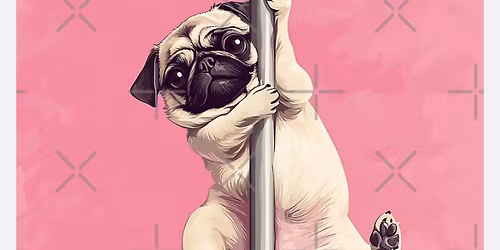 \u2018Pug Dancing\u2019 Pug Club Meet Up