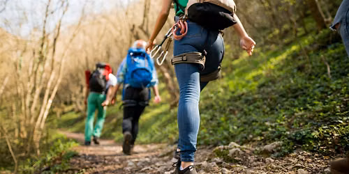 Summer Ecology Walk
