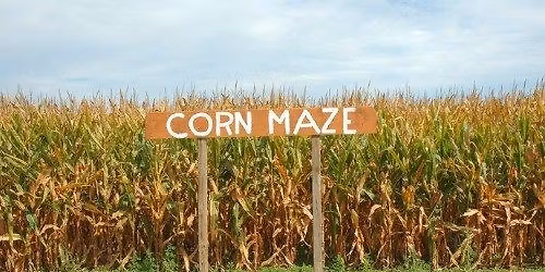 Corn Maze on the Farm