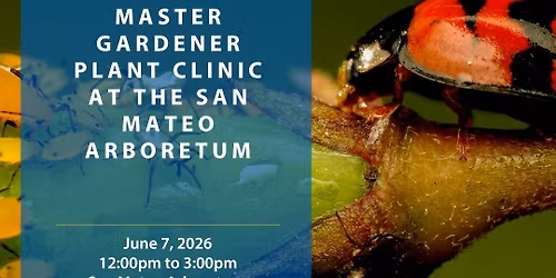 Master Gardener Plant Clinic at the San Mateo Arboretum