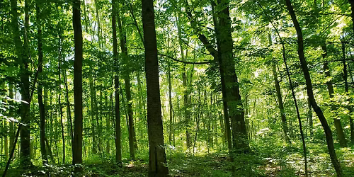 Fall 2025 Family History Class