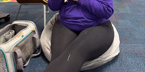 Piggy Camp with Wheektopia Guinea Pig & Rescue Center