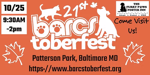 Furry Paws at BARCStoberfest