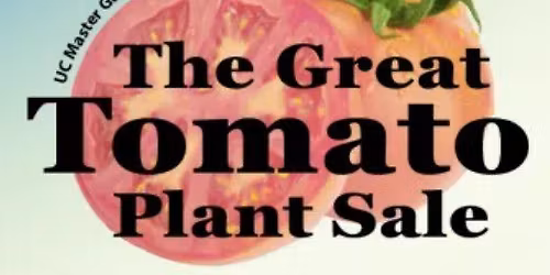 2026 Great Tomato Plant Sale in West County -- ONE Day Only in this Location