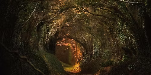 Parking Daphne in Concert - Seattle