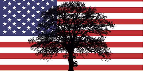 Liberty Tree Dedication