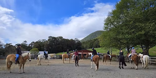 Horsemanship Clinic Hawkes Bay - Ken Dromgool