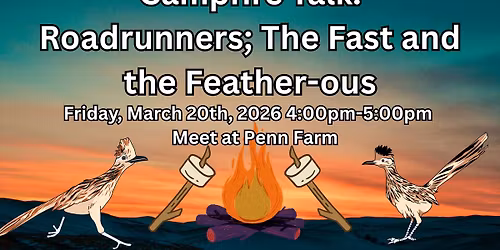 Campfire Talk: Roadrunners; The Fast and the Feather-ous