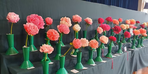 Peony Flower show