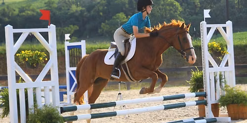 Halloween VHSA\/BHSA\/TIP Jumper Show
