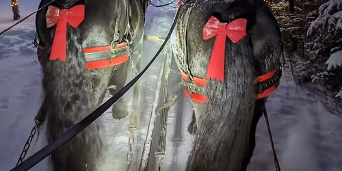 Opening Day: Lantern Lit Sleigh Rides