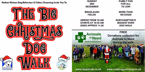 The BIG Christmas Dog Walk for Animals In Need 2026
