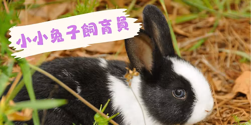 11/29(六)10:00『兔子』小小飼育員體驗課