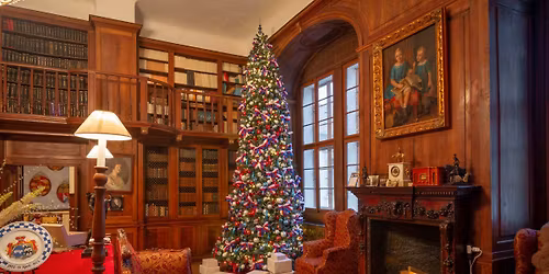 P\u0159\u00edb\u011bh v\u00e1no\u010dn\u00edho strome\u010dku