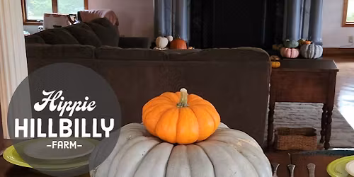Pumpkin Thanksgiving Tablescape and Photography Event at Hippie Hillbilly Farm