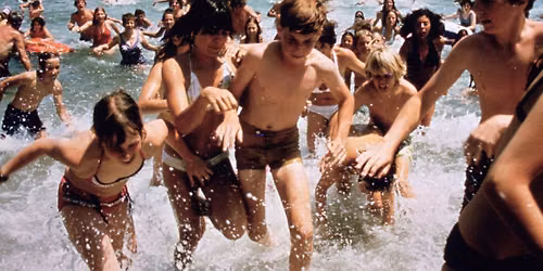 Jaws Party