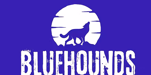BLUEHOUNDS - LIVE