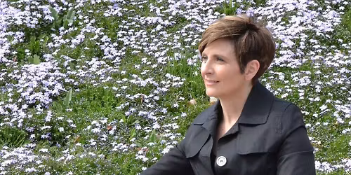 Book Launch: Sugarcoated