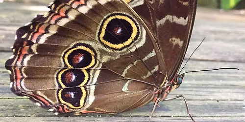 Annual CSE Conference