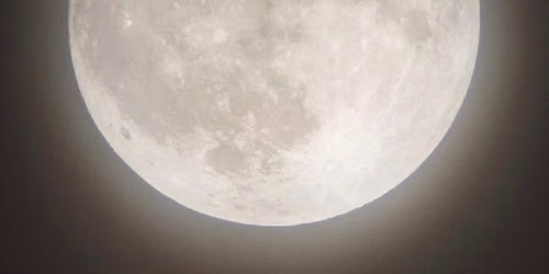 Full "Sturgeon" Moon Ritual & Sound Bath