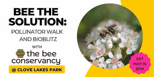 SI Bio-Blitz Bee the Solution Pollinator Walk