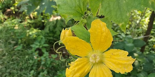 \u0997\u09cd\u09b0\u09be\u09ae\u09c7 \u0998\u09c1\u09b0\u09bf \u0997\u09cd\u09b0\u09be\u09ae \u09a6\u09c7\u0996\u09bf