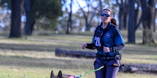 NEGRC Mushers Bootcamp