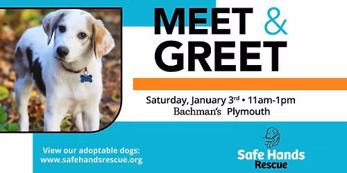 Safe Hands Rescue Meet & Greet at Bachman's (Plymouth)
