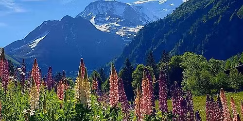 7D Tour Du Mont Blanc Classic Guided