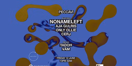 Pecc\u0101v\u012b: NoNameLeft \/ Aja Gulris \/ Only Ollie \/ CERJ \/ Tadoh \/ V\u00c4M