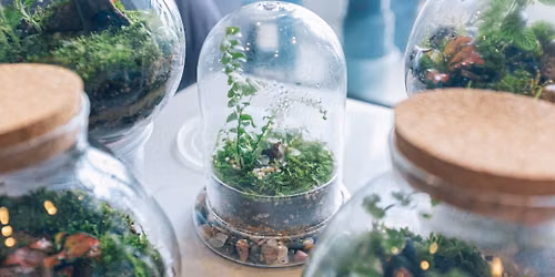 Build Your Own Terrarium Bar