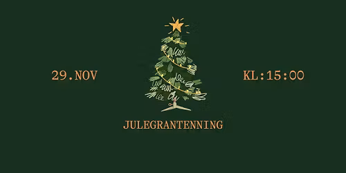 Julegrantenning p\u00e5 Vinslottet