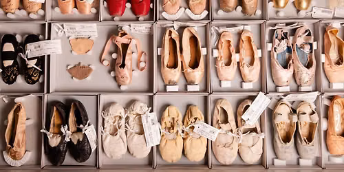 Collection Store Tours 