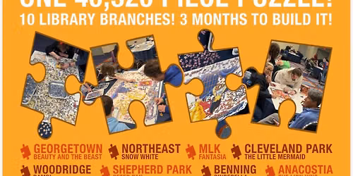 MLK Puzzle Party, SWAP, and Build Reveal