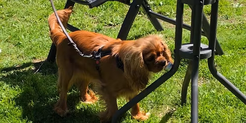 Sommar i Magria - Noggrannhet & Markering