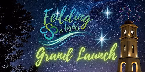 Feilding in Lights - Grand Launch