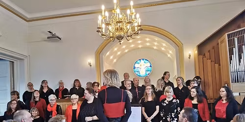 SYNG JULEN IND med Gospelkoret Shine (kl. 14.00)