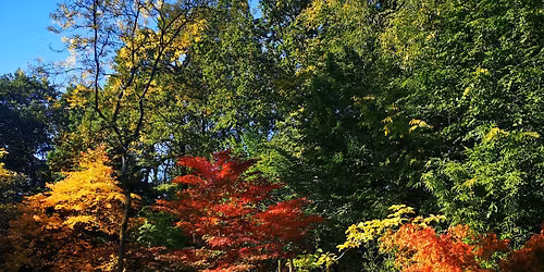 Guided Walk (Supporter's Only): Queenswood, South Wood and Burghope Quarry