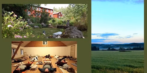 Yoga och Permakultur - Helhetens betydelse