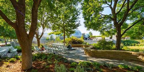 Gardening in Oklahoma Shade